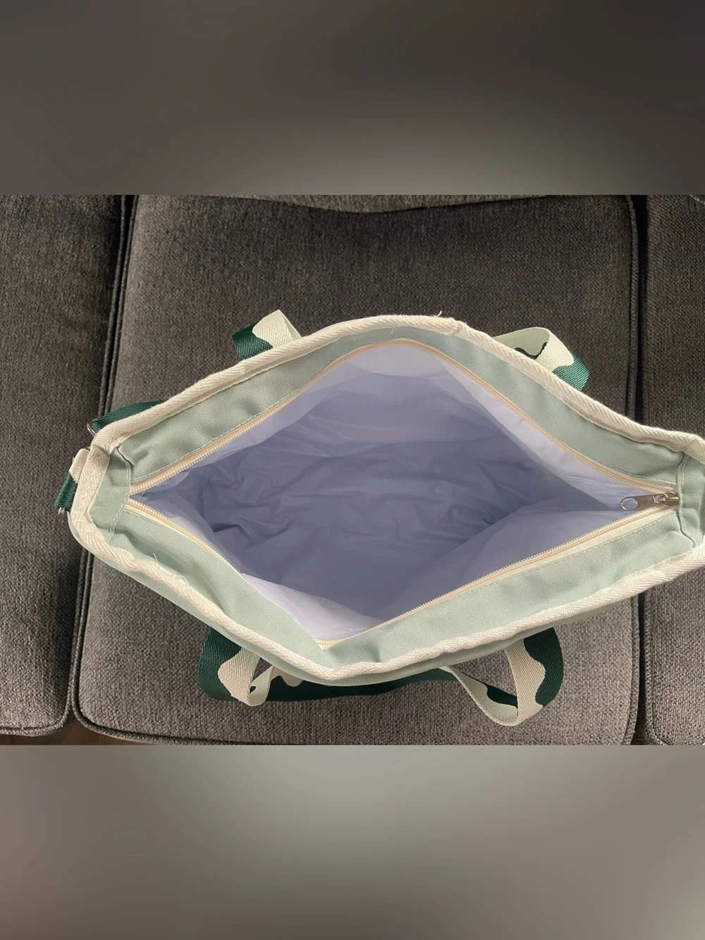 Mint and Green insulated Beach cooler Tote Bag